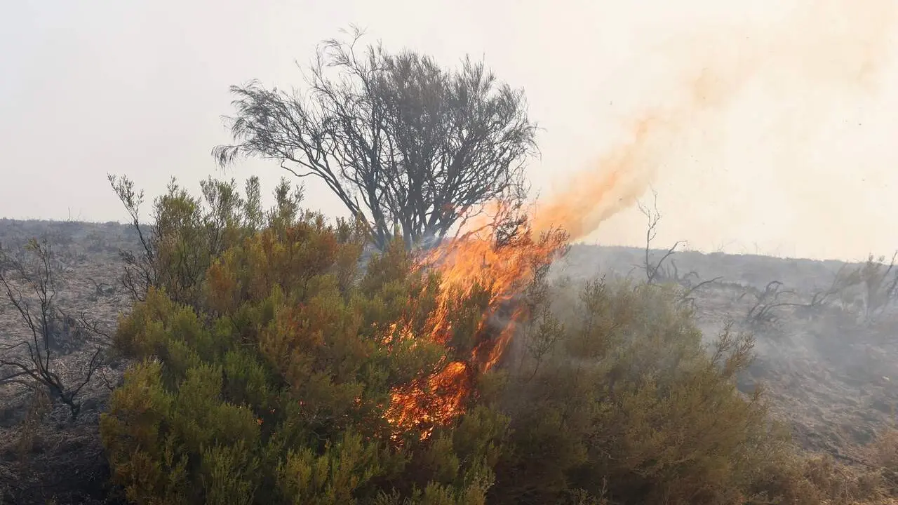 Incendio forestal de Murias de Ponjos (Le&oacute;n), en el que la Guardia Civil ha desalojado a 36 personas de Andarraso, Rosales y Folloso. Fotos.&nbsp;Carlos S. Campillo / ICAL