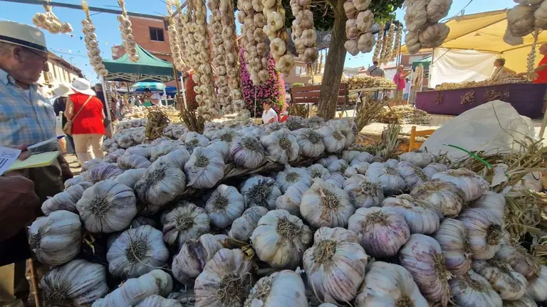 Feria del ajo de Santa Marina del Rey