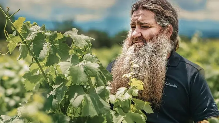 El en&oacute;logo berciano R&aacute;ul P&eacute;rez estrena 'El mago del vino'. | MEDIASET