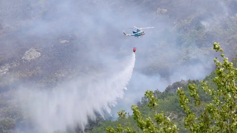 El incendio forestal de esta semana en Valdepi&eacute;lago (Le&oacute;n).