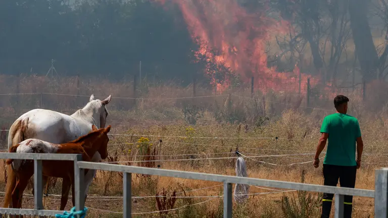 Incendio de nivel dos en Navatejera (Le&oacute;n)