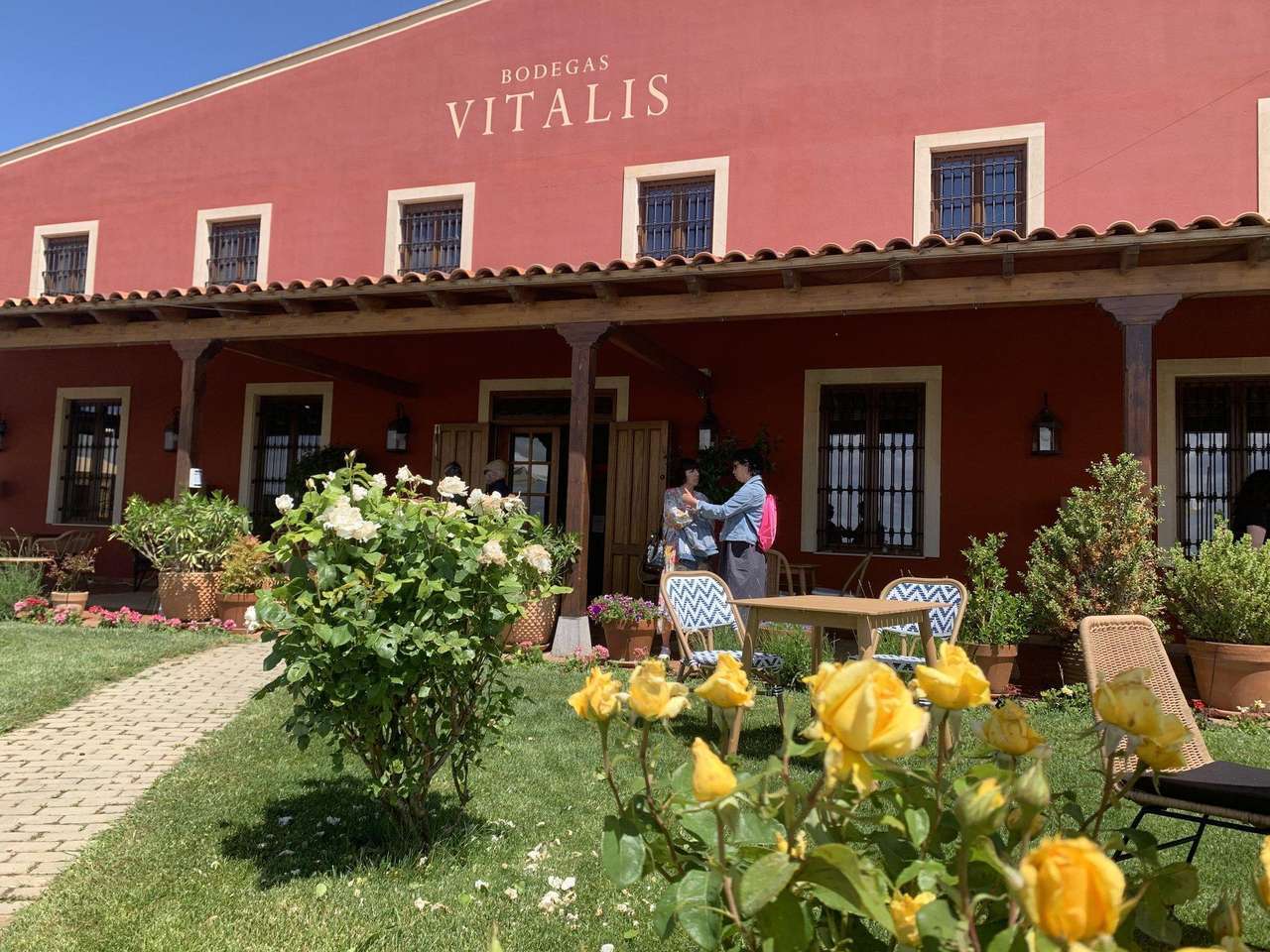 Bodega VItalis de la DO León