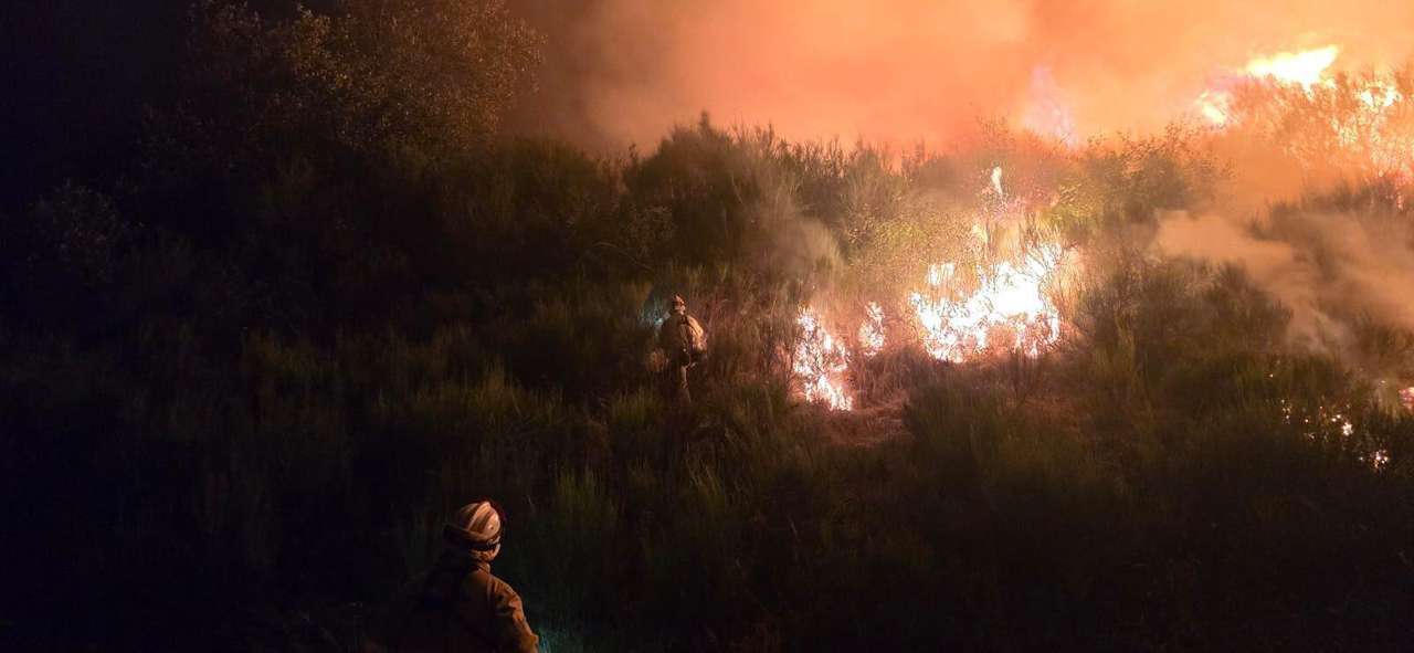 La UME interviene en el incendio forestal de Barniedo de la Reina. Subdelegación del Gobierno.