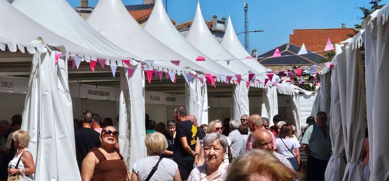 Puestos de la XVIII Feria del Dulce en Benavides de Órbigo. LEÓN 24 HORAS