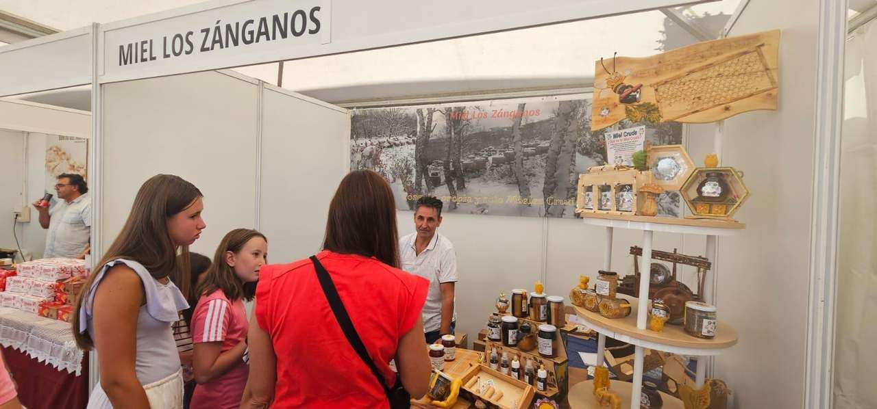 Puestos de la XVIII Feria del Dulce en Benavides de Órbigo. LEÓN 24 HORAS