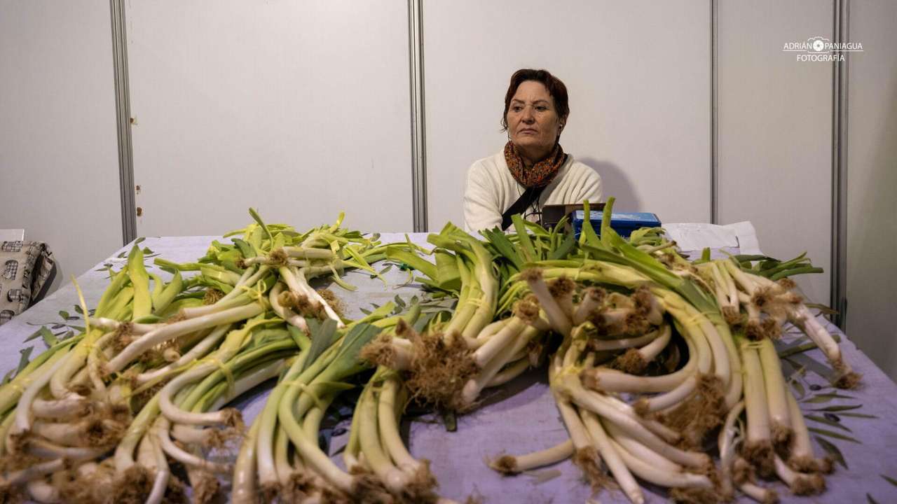 Feria de San Simón 2025 en Sahagún | APL