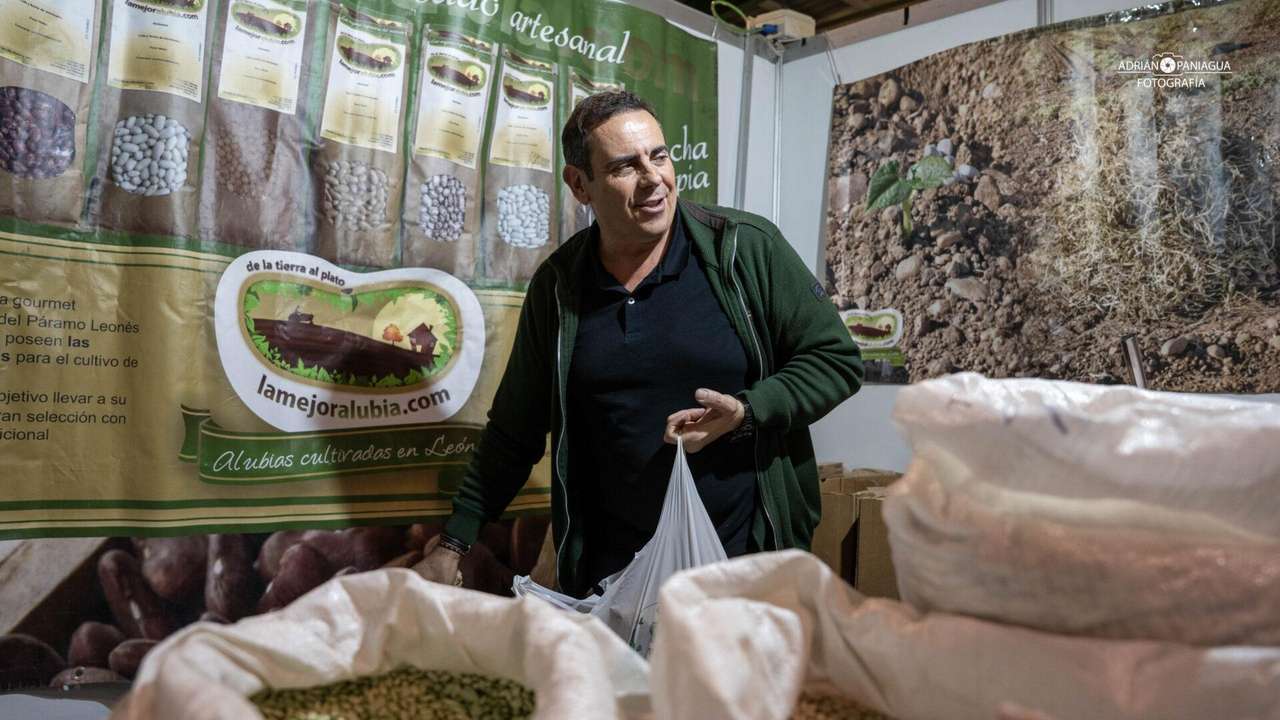 Feria de San Simón 2025 en Sahagún | APL