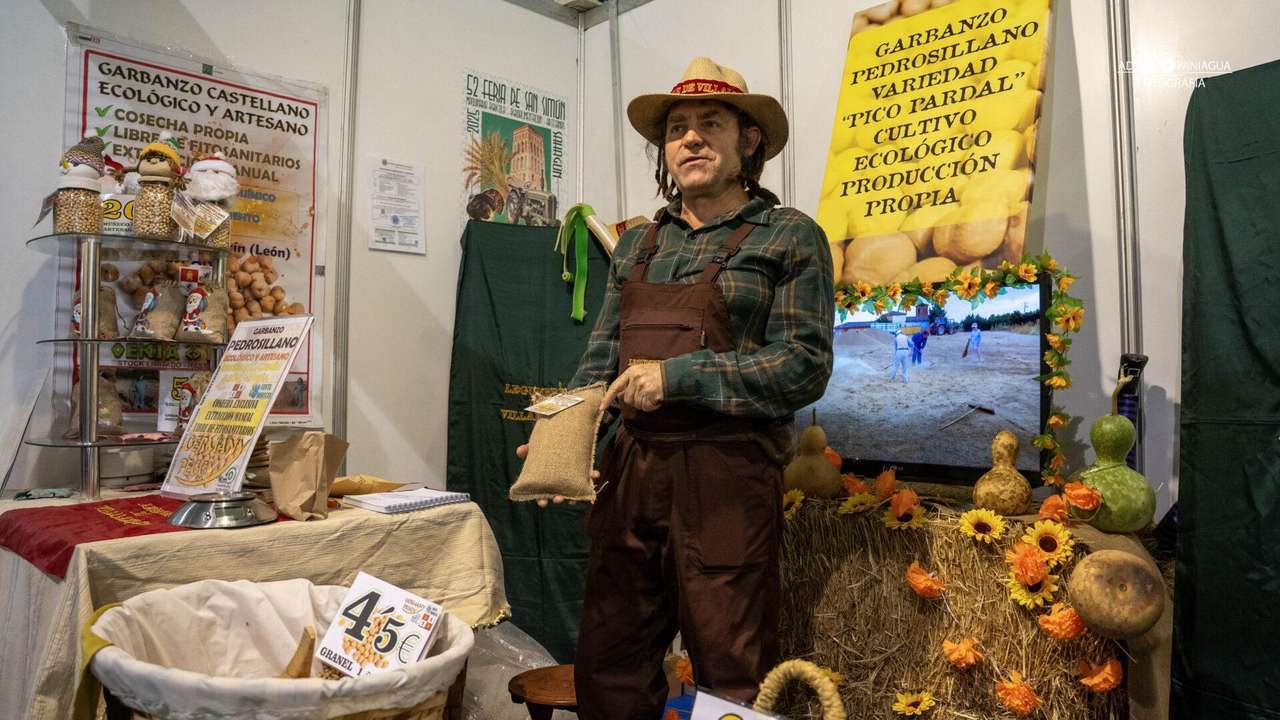 Feria de San Simón 2025 en Sahagún | APL
