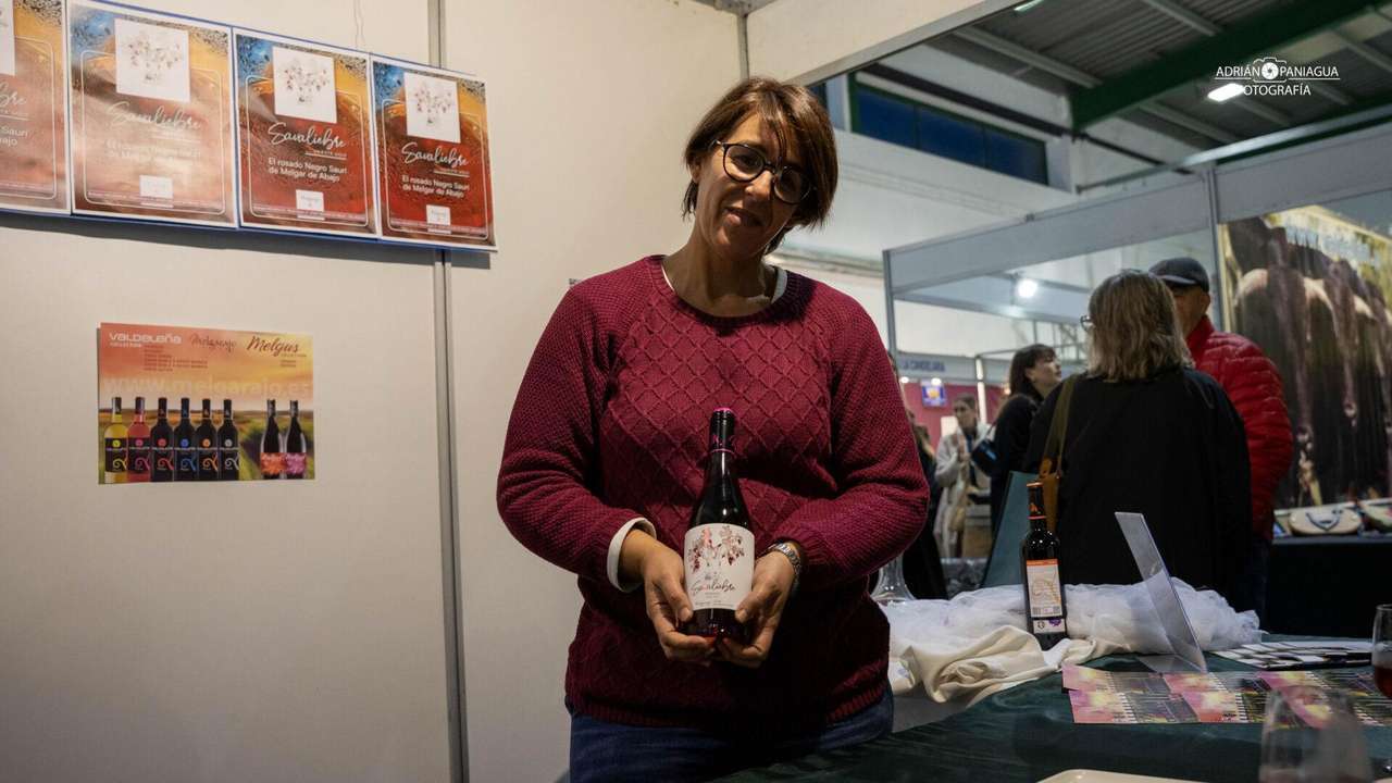 Feria de San Simón 2025 en Sahagún | APL