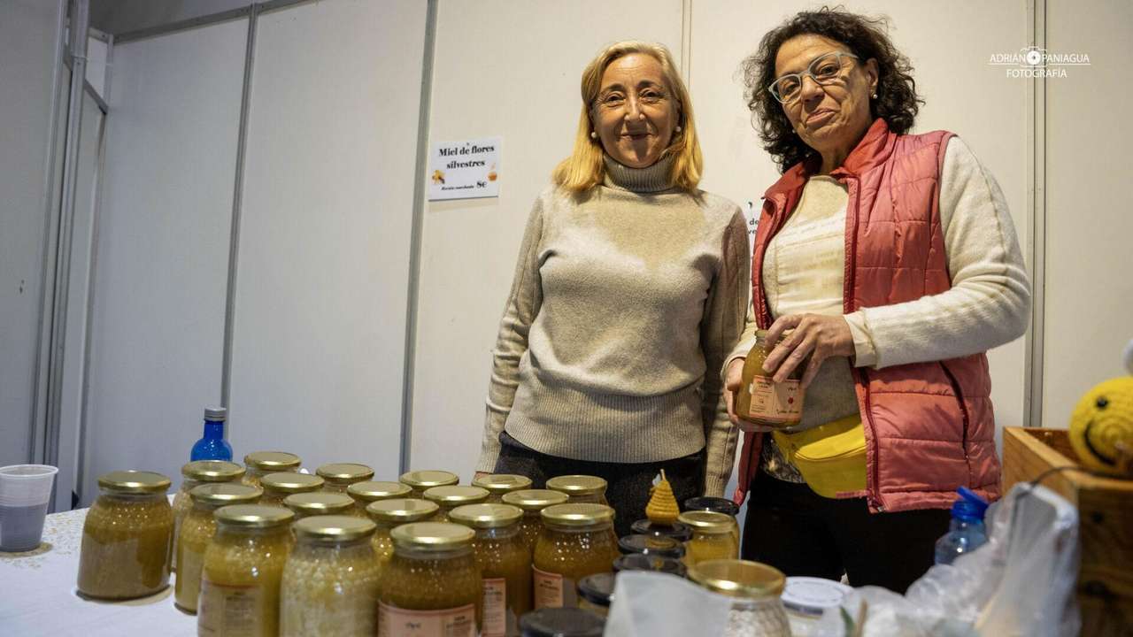 Feria de San Simón 2025 en Sahagún | APL