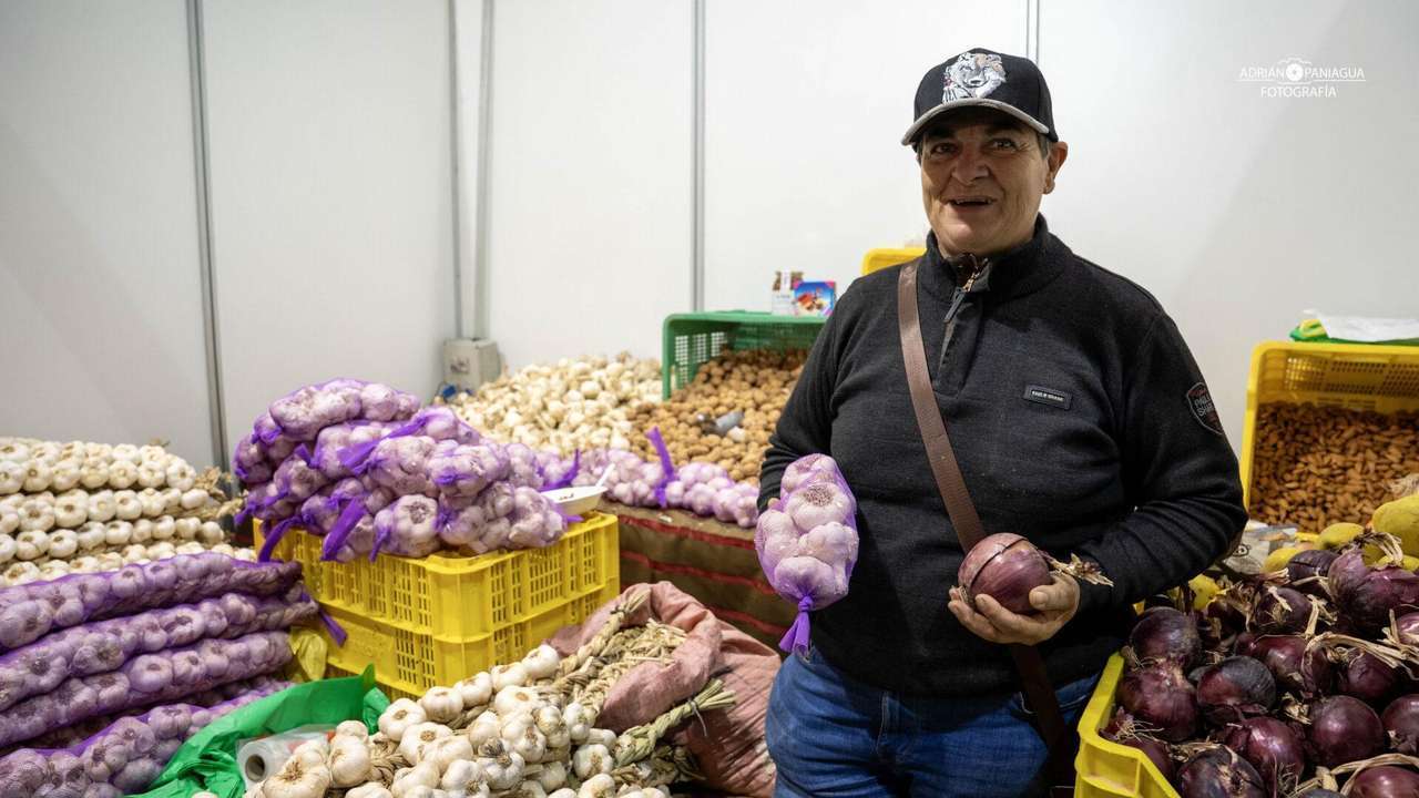 Feria de San Simón 2025 en Sahagún | APL