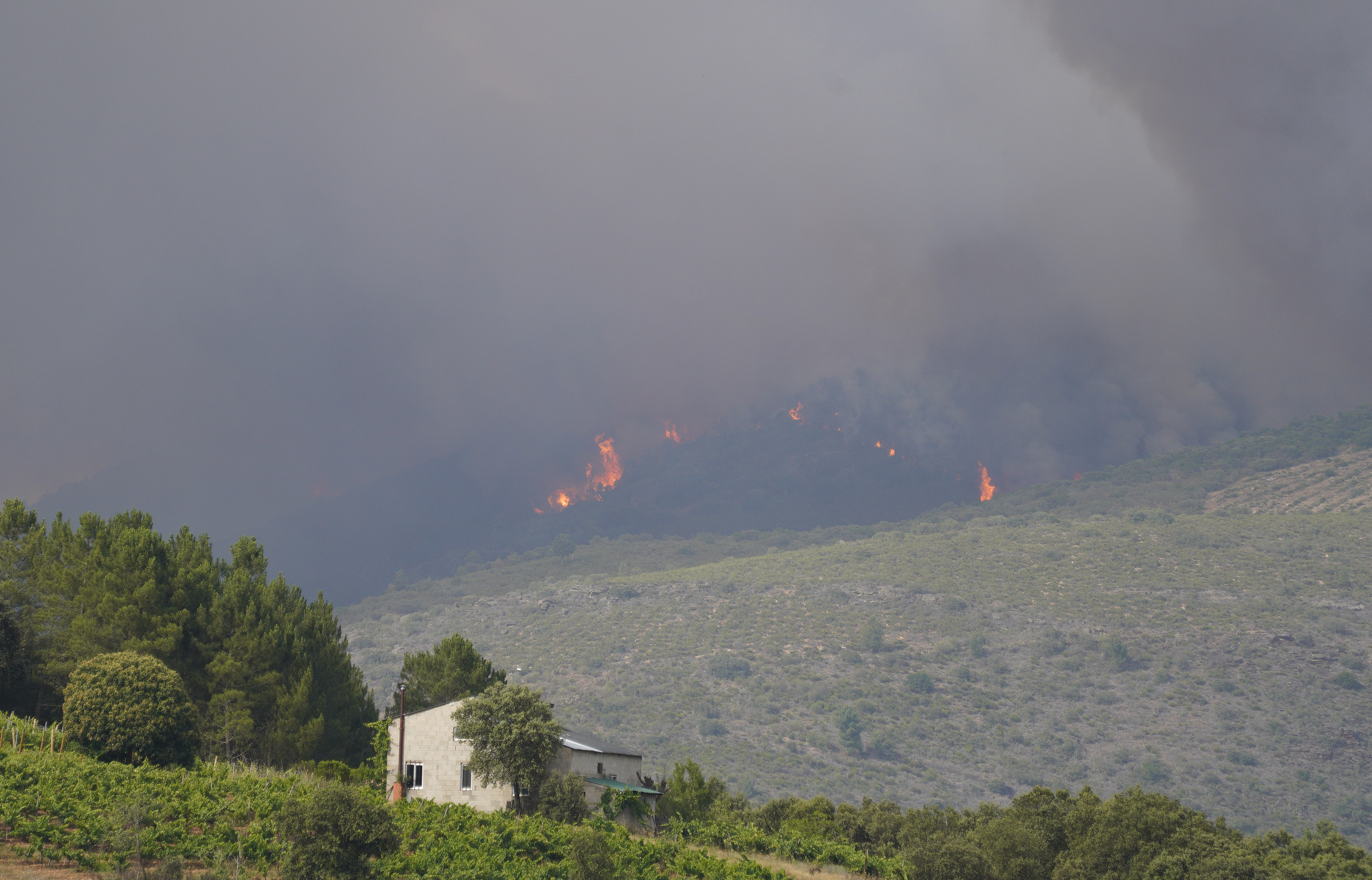 Incendio en la localidad de San Vicente de Arganza (León). César Sánchez. Ical