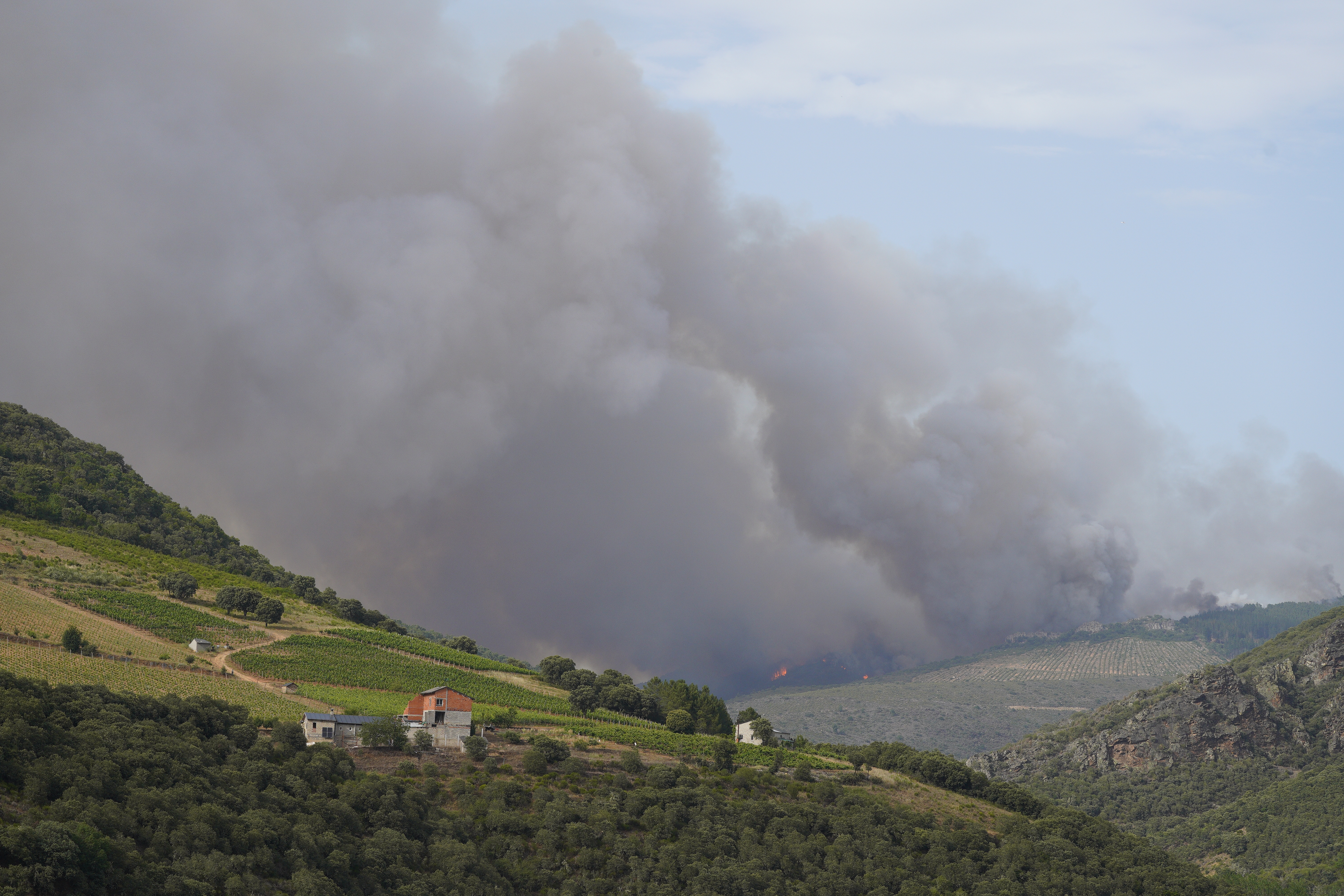 Incendio en la localidad de San Vicente de Arganza (León). César Sánchez. Ical