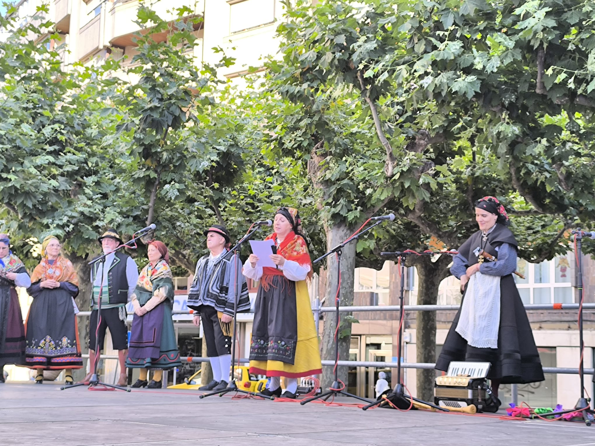 Bailes regionales Andadura  (9)