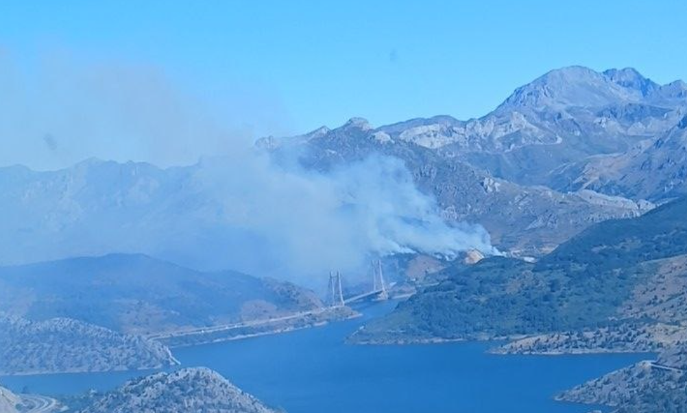 Incendio de Sena de Luna (2)