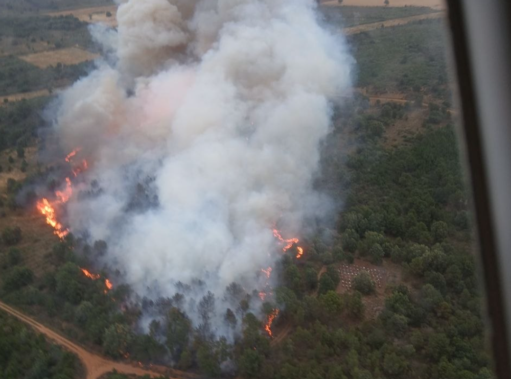Incendio forestal en Porqueros (2)
