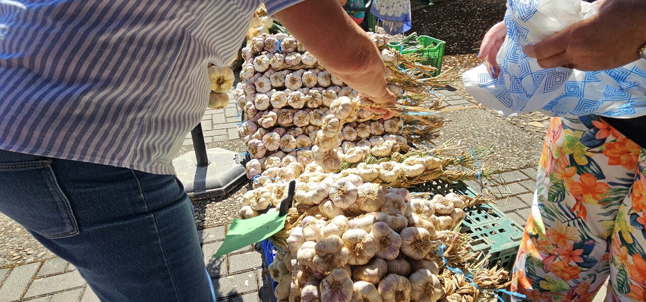 Feria del Ajo de Santa Marina del Rey 2026 (23)