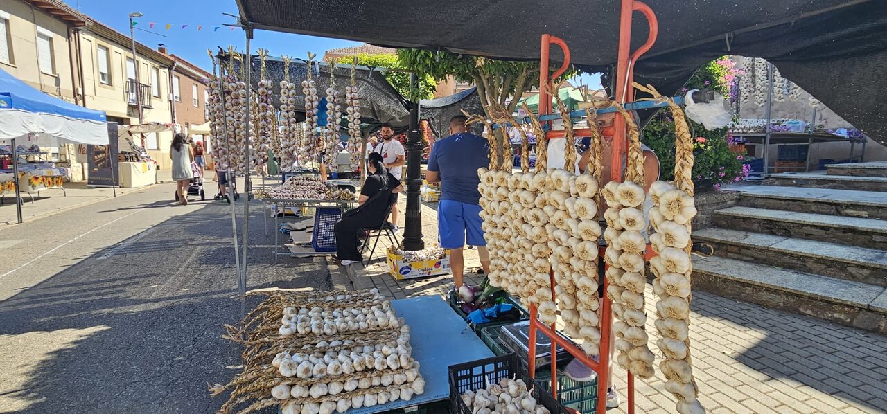 Feria del Ajo de Santa Marina del Rey 2026 (26)