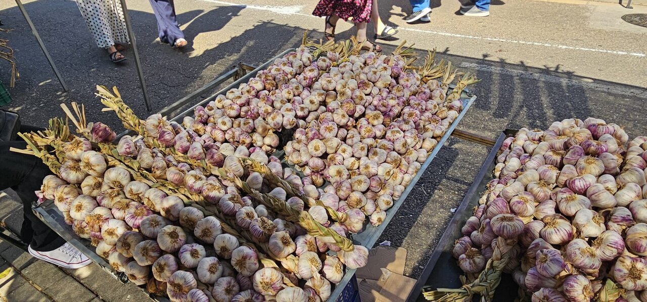 Feria del Ajo de Santa Marina del Rey 2026 (27)