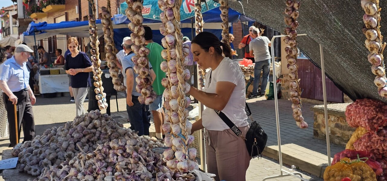 Feria del Ajo de Santa Marina del Rey 2026 (3)