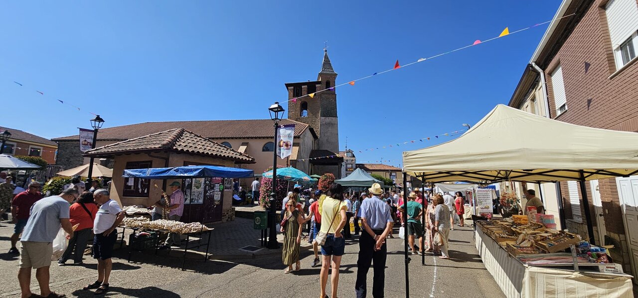 Feria del Ajo de Santa Marina del Rey 2026 (7)