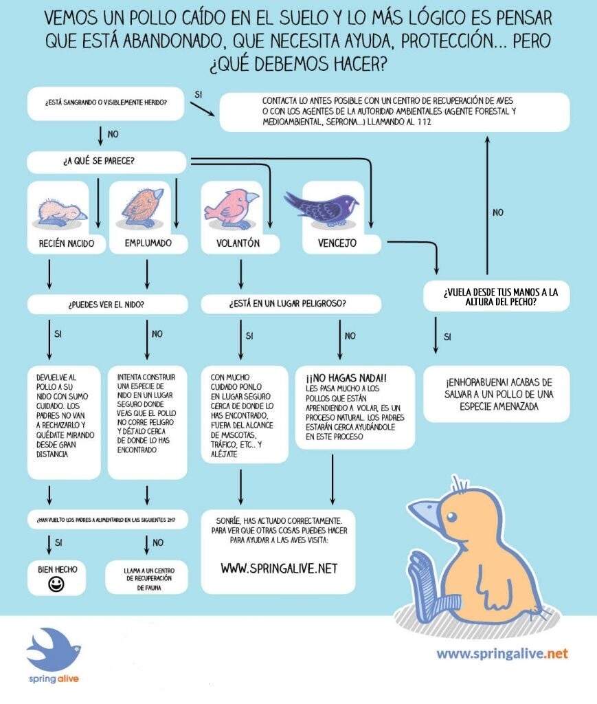 Recomendaciones 2