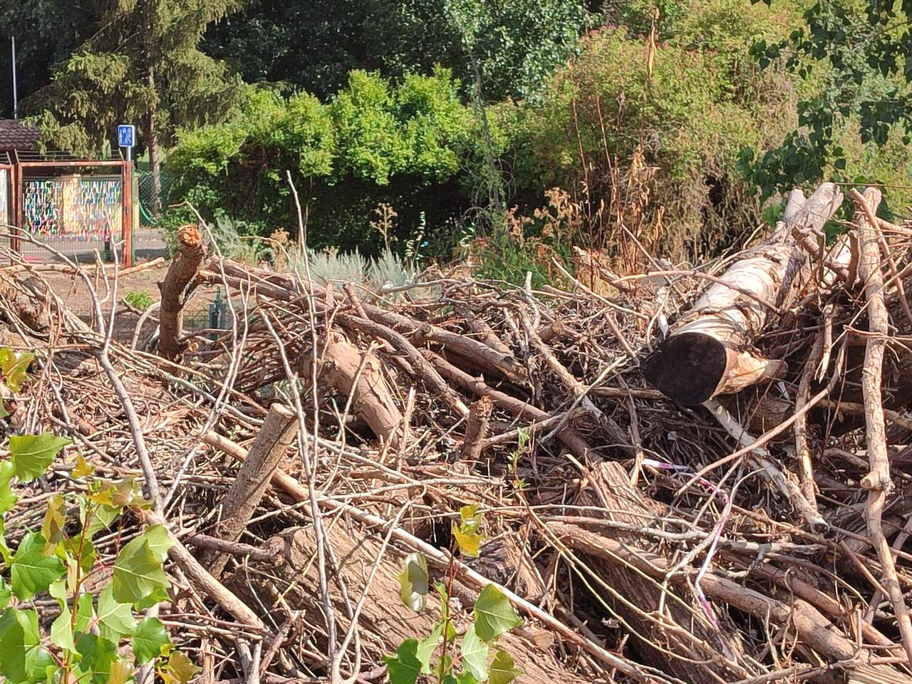 Incendio en La Lastra (1)